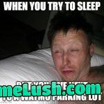 Waymo robotaxis ai fail: Honks at each other trying to park themselves at 4am