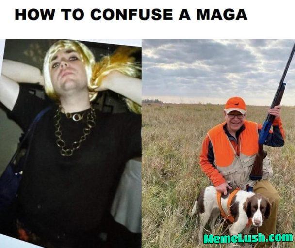 All about that Veep All about that Veep