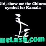 Some will say, it is fake!