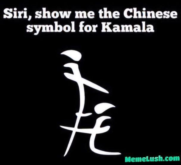 Some will say, it is fake! Some will say, it is fake!