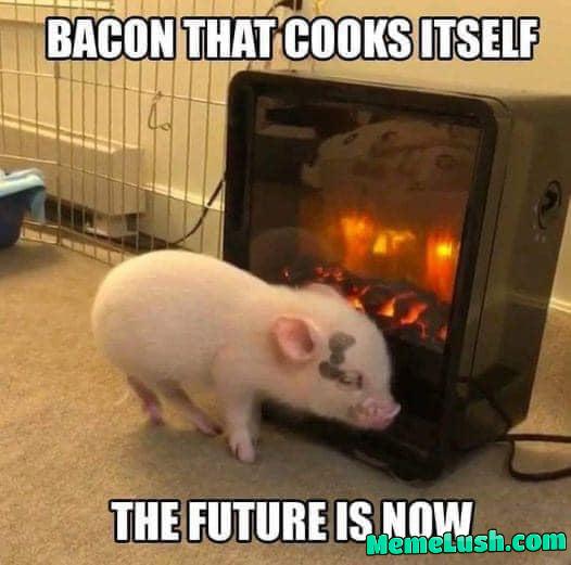 Kevin Bacon Kevin Bacon