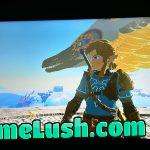 When Ganondorf thinks he won but you ride up with your new arm and bestie