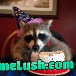 It’s my birthday 🎁 glad I’m having you guys, stay as weird and racist as you are, you make me feel not as lonely