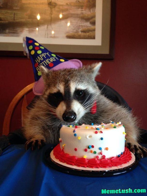 Itβs my birthday π glad Iβm having you guys, stay as weird and racist as you are, you make me feel not as lonely Itβs my birthday π glad Iβm having you guys, stay as weird and racist as you are, you make me feel not as lonely
