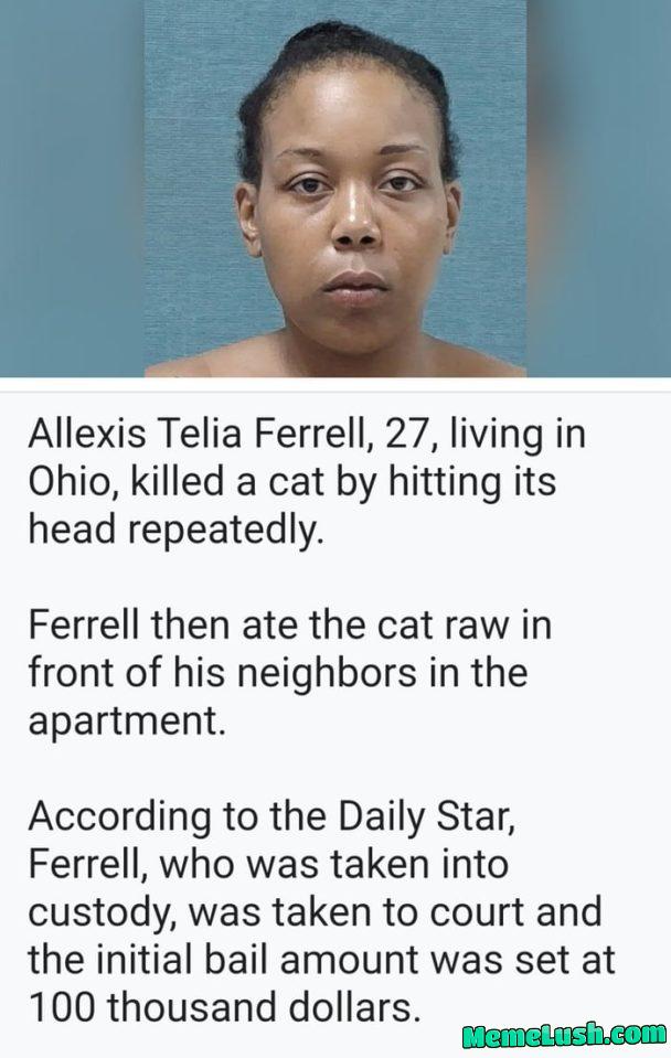 African cuisine African cuisine