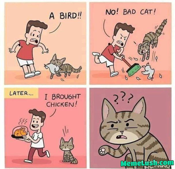 “I don’t want to do that either, but the rotisserie chicken is so delicious”