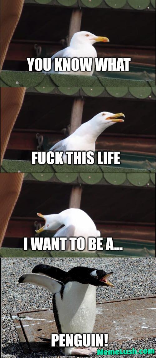 Flightless bird foe the win Flightless bird foe the win