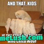 Posting 1 classic meme for every politics/ woke BS in Top