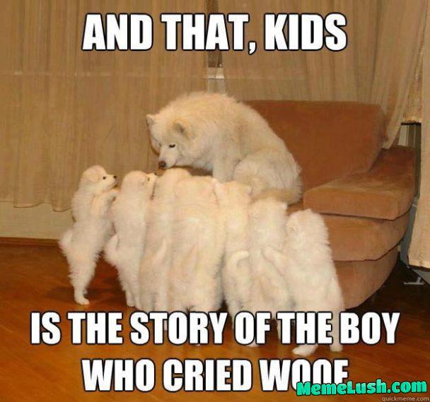 Posting 1 classic meme for every politics/ woke BS in Top