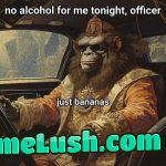 Drink and drive 🍌