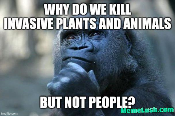Explain please. Explain please.