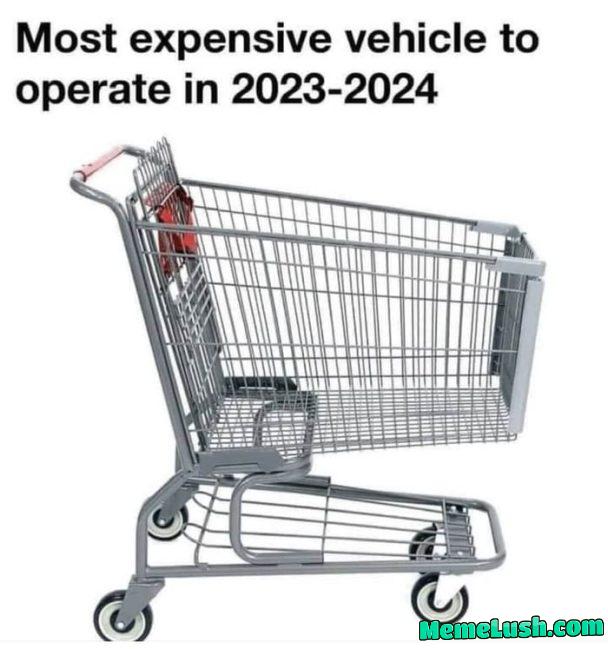 I may need a co-signer I may need a co-signer