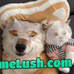 The skincare buddy <3