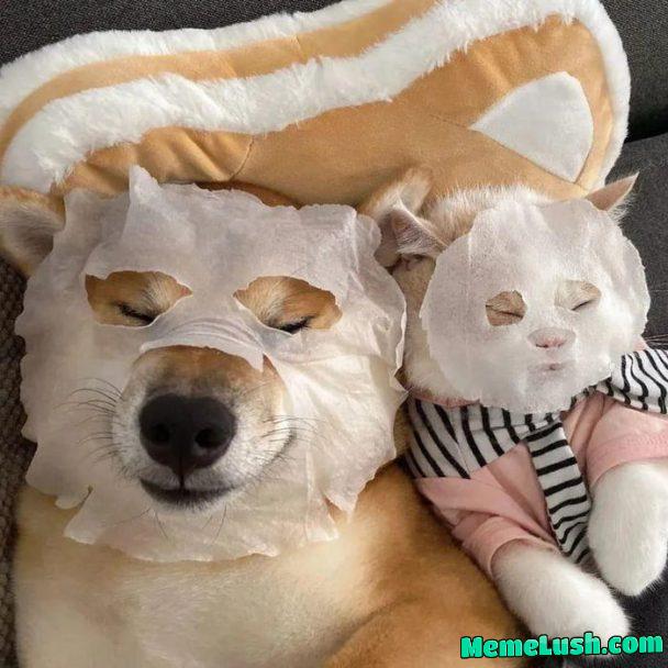 The skincare buddy <3 The skincare buddy <3