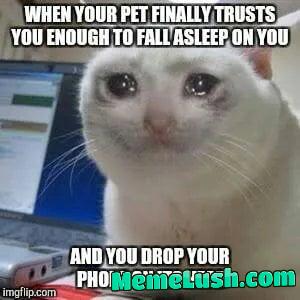 *sad bonk* *sad bonk*