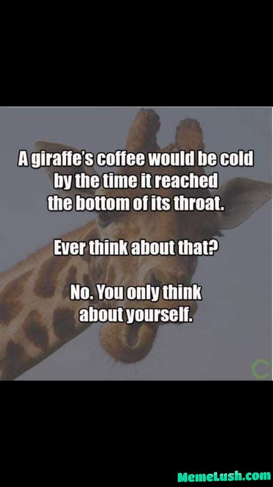 An ancient saying said