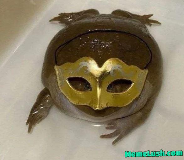 Have a good Wed nes Day Have a good Wed nes Day