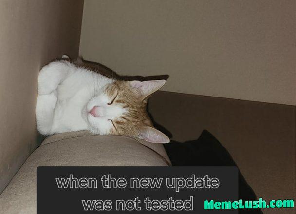 Guys, anyone getting problems with the cat’s gyro after an update?