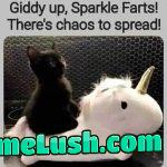 I need a cute little chaos kitty in my life
