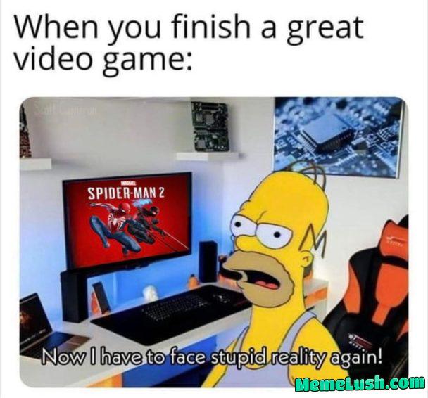 Every Gamer Every Gamer