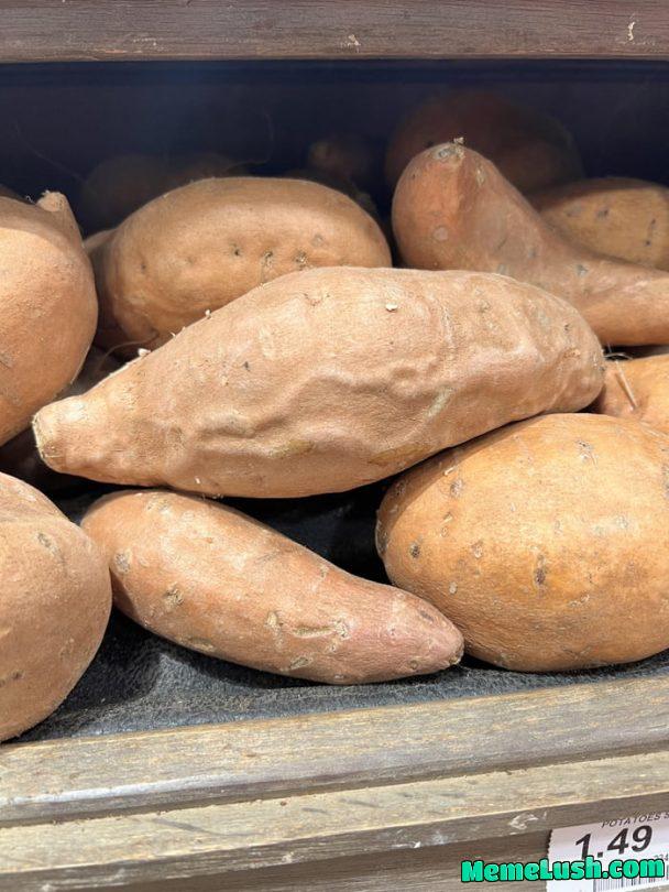 Found me a dicktater in the wild Found me a dicktater in the wild