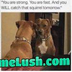 Everyone’s rooting for you, except squirrels