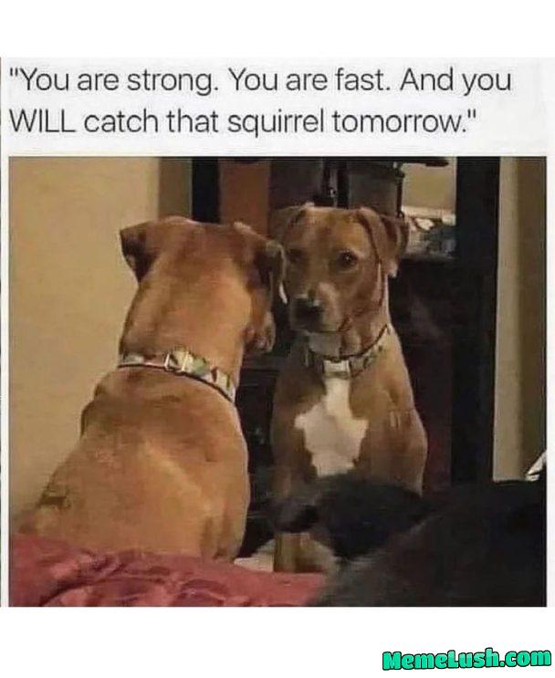 Everyone’s rooting for you, except squirrels
