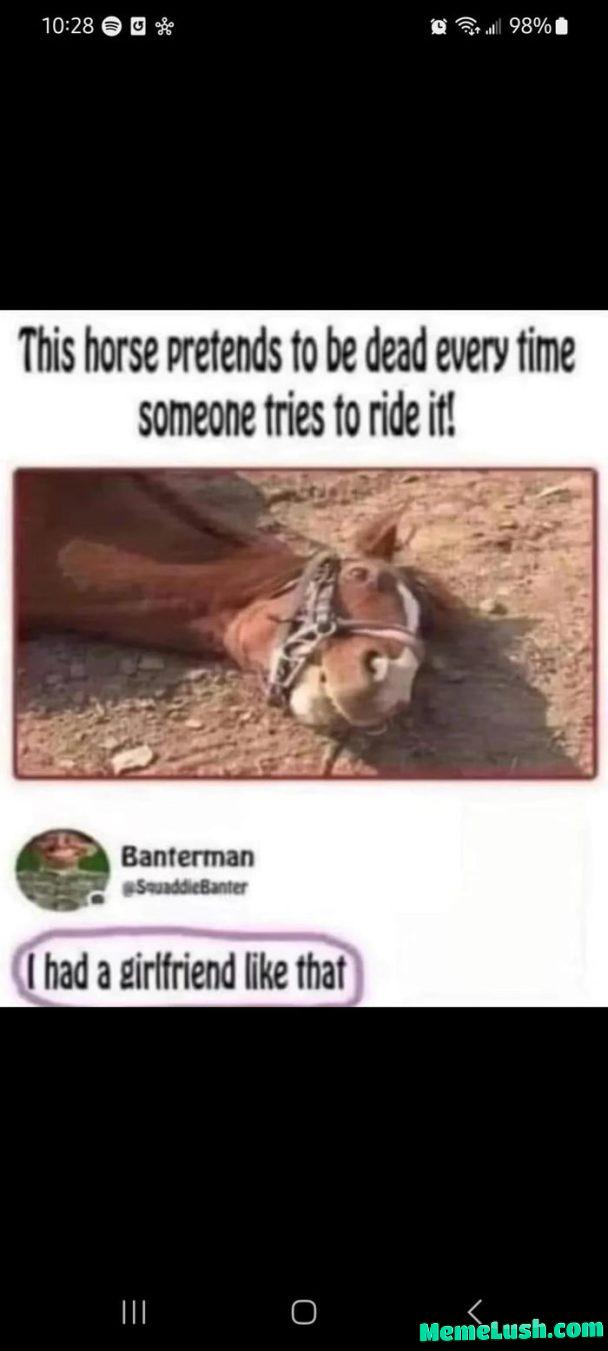 Different riding companion Different riding companion