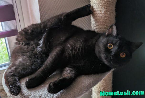 Draw me like one of your french girls Draw me like one of your french girls