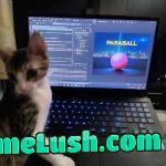 Our junior developer hit a bug and development has stalled. His treat rations are in jeopardy!