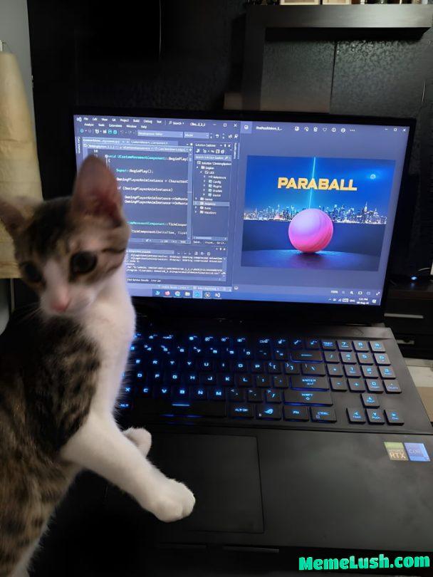 Our junior developer hit a bug and development has stalled. His treat rations are in jeopardy! Our junior developer hit a bug and development has stalled. His treat rations are in jeopardy!