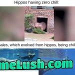 What 55 million years does to a mf