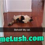 We still doing cats?