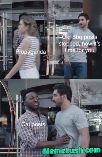 Did dingus start this!! Did dingus start this!!