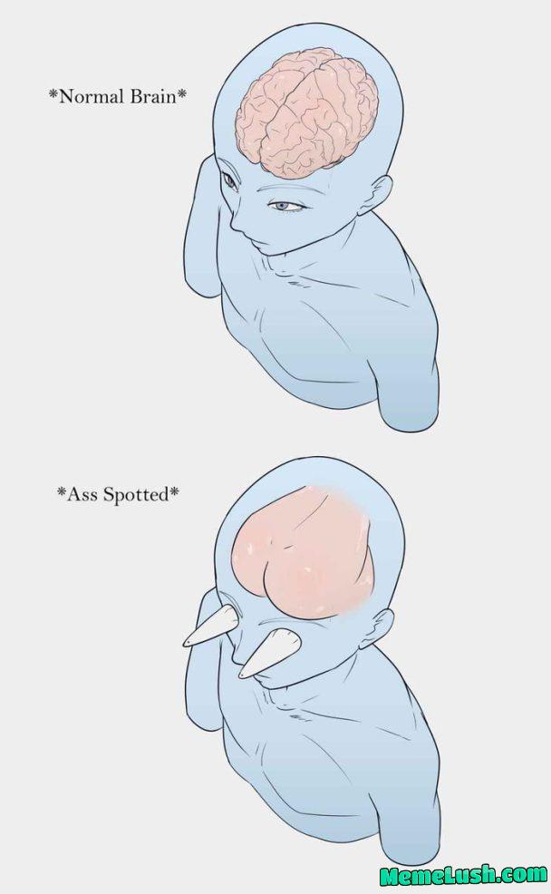 Ass is love, ass is life Ass is love, ass is life