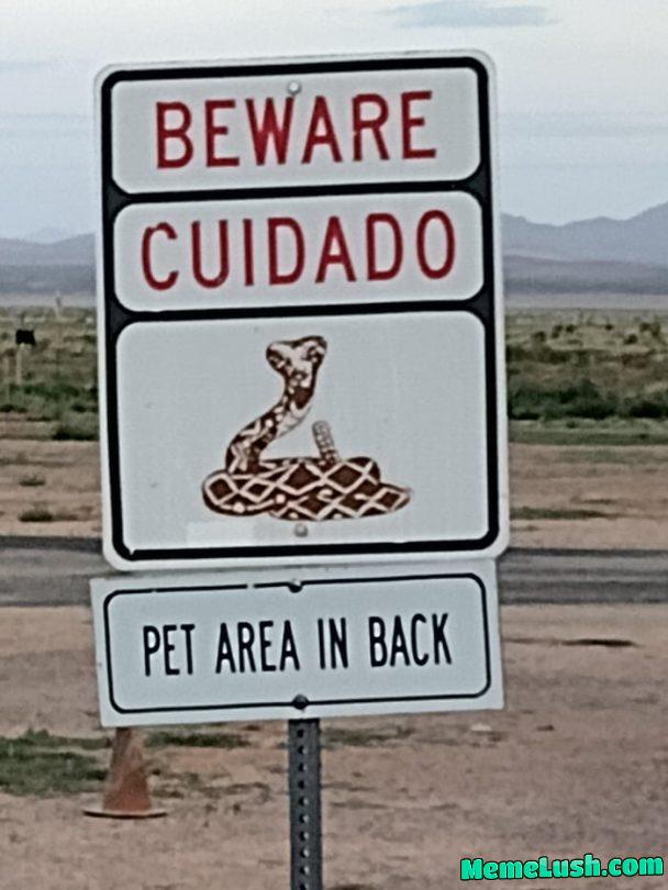 Pet the snakes Pet the snakes