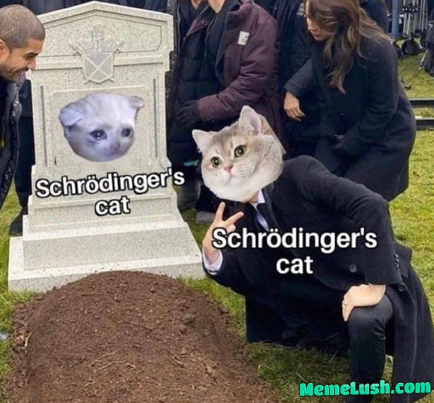 Schrödinger