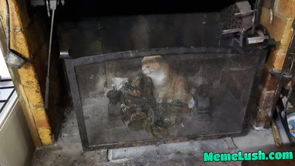 My Grandmother’s cat was such a mix of weird behaviors and love ! He is now in paradise (and so is my grandmother). I miss them so much, but, seeing this funny photo always make me smile. (He slept UNDER the fireplace usually, not INSIDE XD)