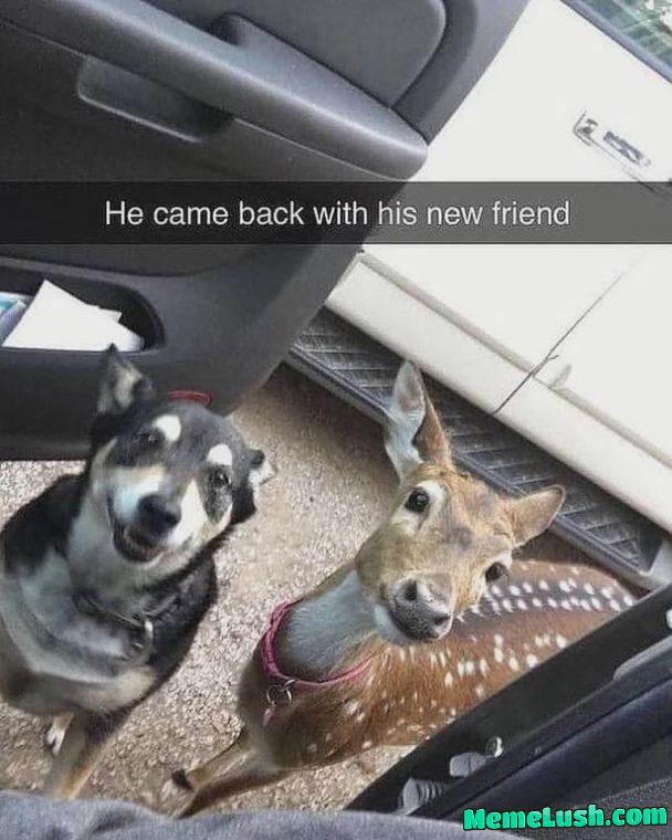 Room for one more?