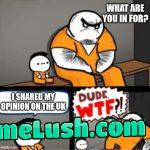 Do you have a loicence for your opinion?