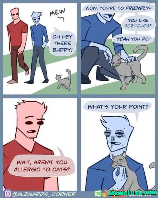 Do not the Cat Do not the Cat