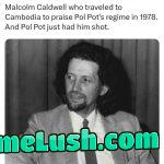 They are all a joke, but there’s some that are professionals