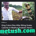 India is not for nature either