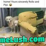 Sofa for sale