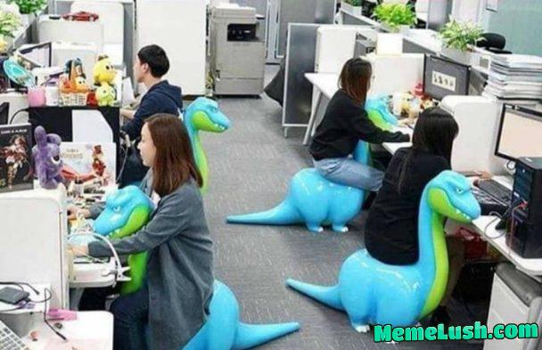 Our office procurement team has delivered chairs. Our office procurement team has delivered chairs.