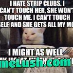 Musings by the cat.