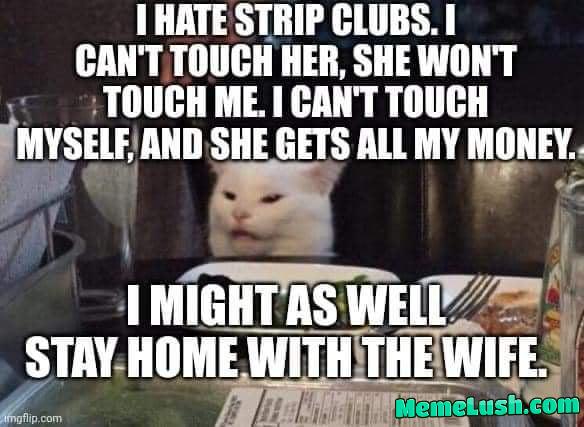 Musings by the cat.