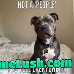 Yea what do you mean?