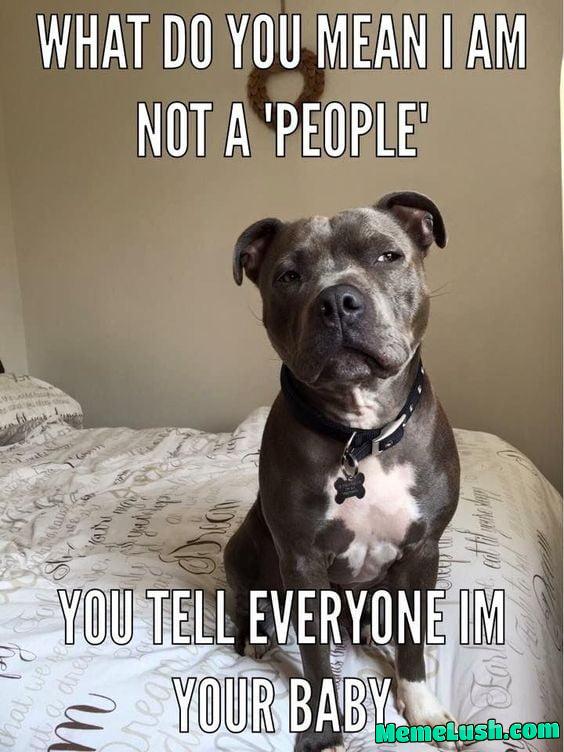 Yea what do you mean? Yea what do you mean?