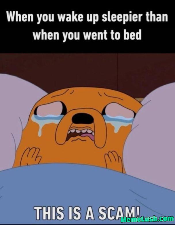 Hmm Make it make sense.